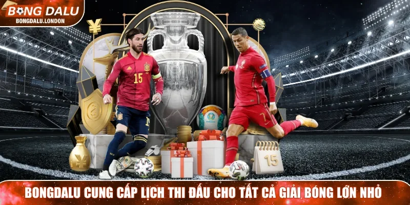 Bongdalu cung cấp lịch thi đấu cho tất cả giải bóng lớn nhỏ