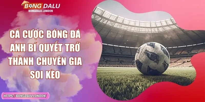 Cá Cược Bóng Đá Anh Bí Quyết Trở Thành Chuyên Gia Soi Kèo