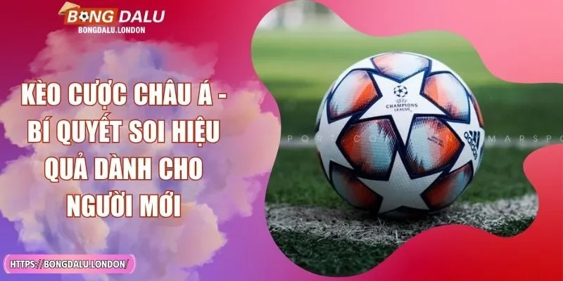 Kèo Cược Châu Á - Bí Quyết Soi Hiệu Quả Dành Cho Người Mới