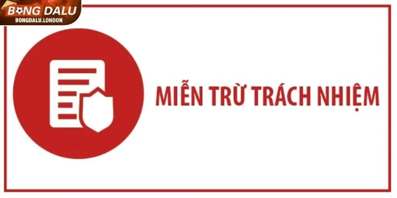 Web có quyền sửa đổi chính sách miễn trừ trách nhiệm