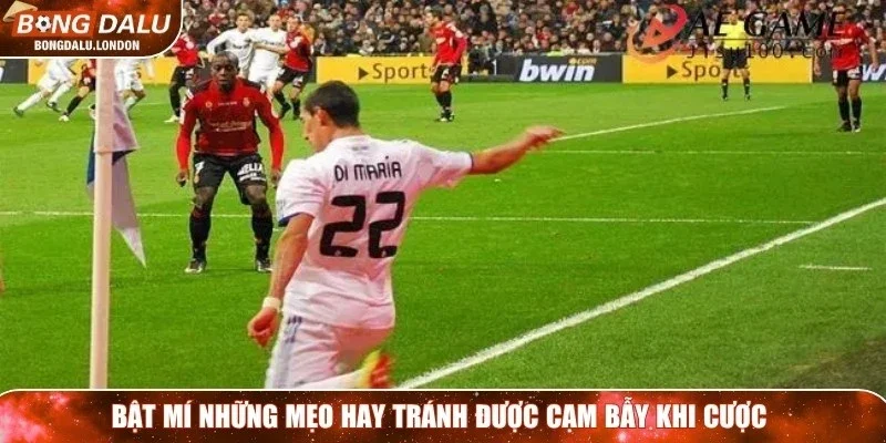 Bật mí những mẹo hay tránh được cạm bẫy khi cược