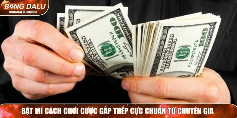 Bật mí cách chơi cược gấp thếp cực chuẩn từ chuyên gia