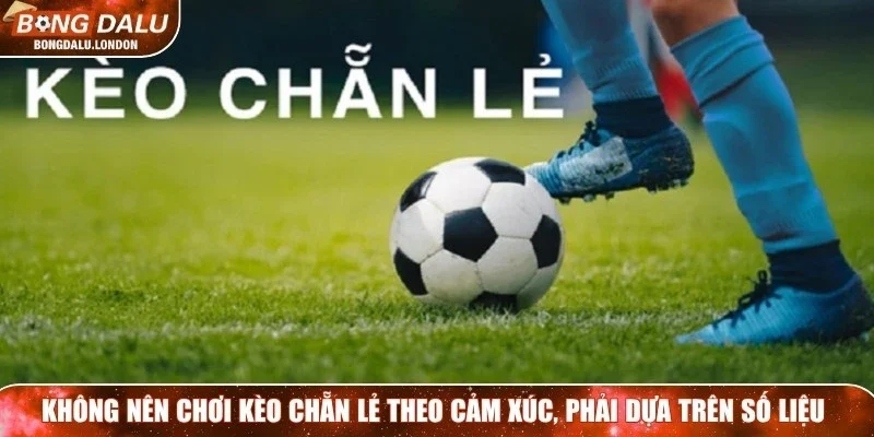 Không nên chơi kèo chẵn lẻ theo cảm xúc, phải dựa trên số liệu