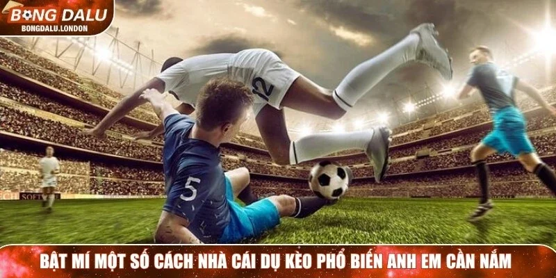 Bật mí một số cách nhà cái dụ kèo phổ biến anh em cần nắm
