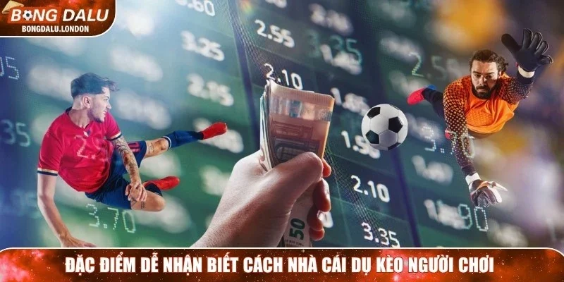 Đặc điểm dễ nhận biết cách nhà cái dụ kèo người chơi
