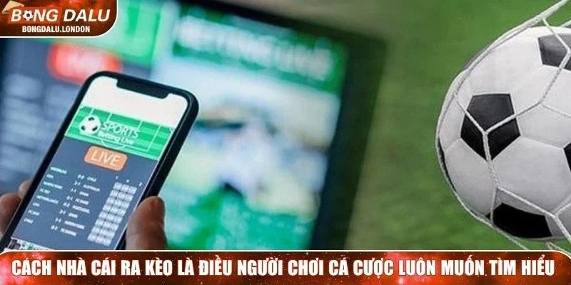 Cách nhà cái ra kèo là điều mà người chơi cá cược luôn muốn tìm hiểu