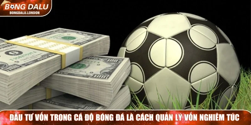 Để thành công trong đầu tư vốn trong cá độ bạn cần biết các bí kíp hay