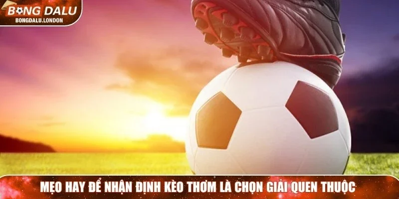 Mẹo hay để nhận định kèo thơm là chọn giải quen thuộc