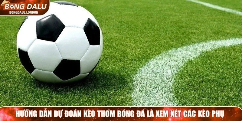 Hướng dẫn dự đoán kèo thơm bóng đá là xem xét các kèo phụ