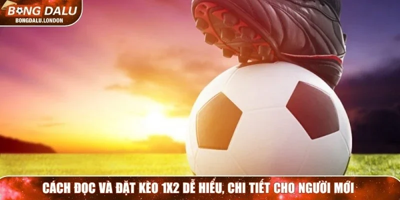 Cách đọc và đặt kèo 1x2 dễ hiểu, chi tiết cho người mới