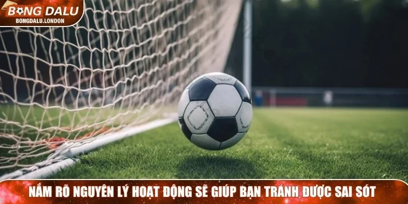 Nắm rõ nguyên lý hoạt động sẽ giúp bạn tránh được sai sót