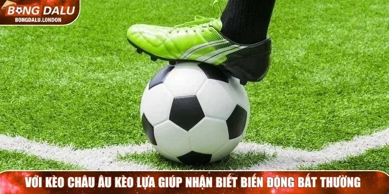 Với kèo châu Âu kèo lựa giúp người chơi nhận biết biến động bất thường