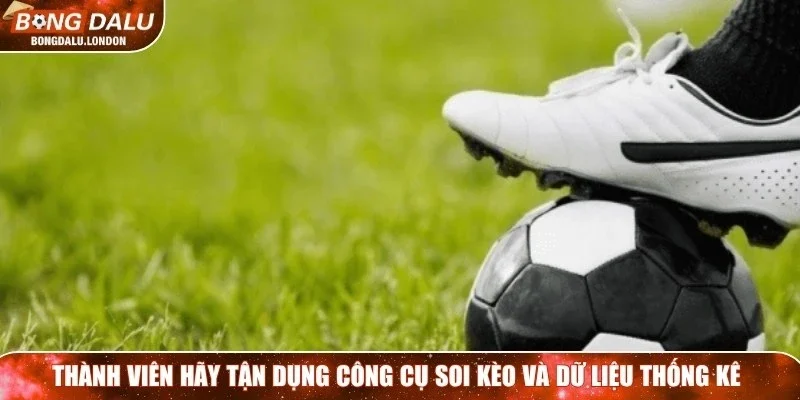 Thành viên hãy tận dụng công cụ soi kèo và dữ liệu thống kê