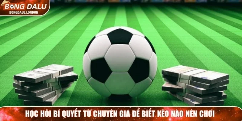 Học hỏi bí quyết từ chuyên gia để biết kèo nào nên chơi