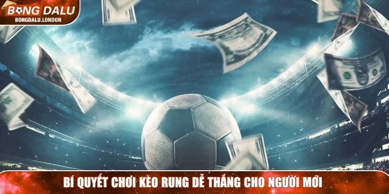 Bí quyết chơi kèo rung dễ thắng cho người mới 