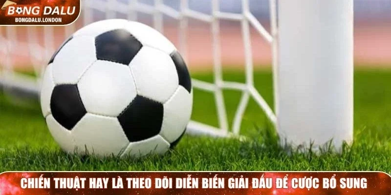 Chiến thuật hay là theo dõi diễn biến giải đấu để cược bổ sung