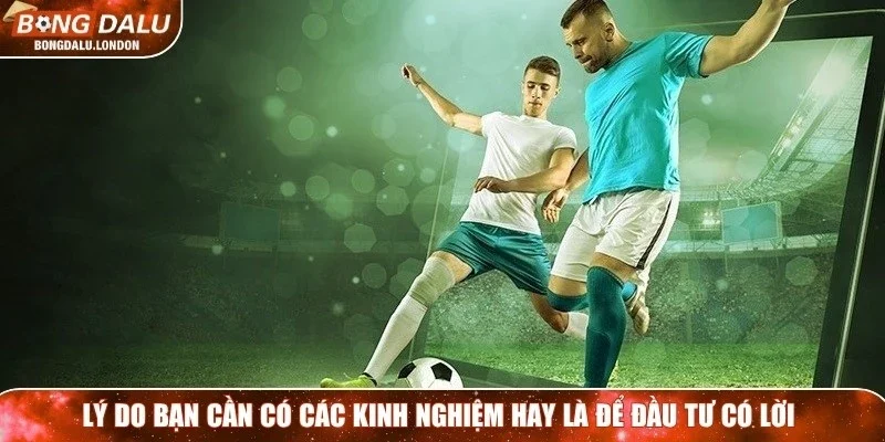 Lý do bạn cần có các kinh nghiệm hay là để đầu tư có lời