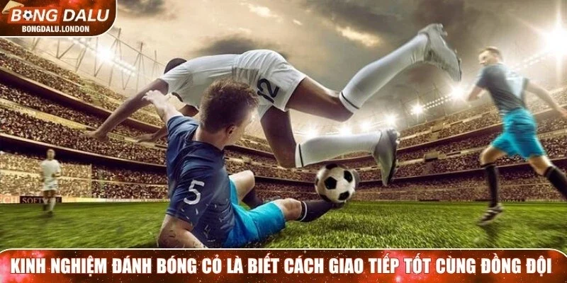 Kinh nghiệm đánh bóng cỏ là biết cách giao tiếp tốt cùng đồng đội