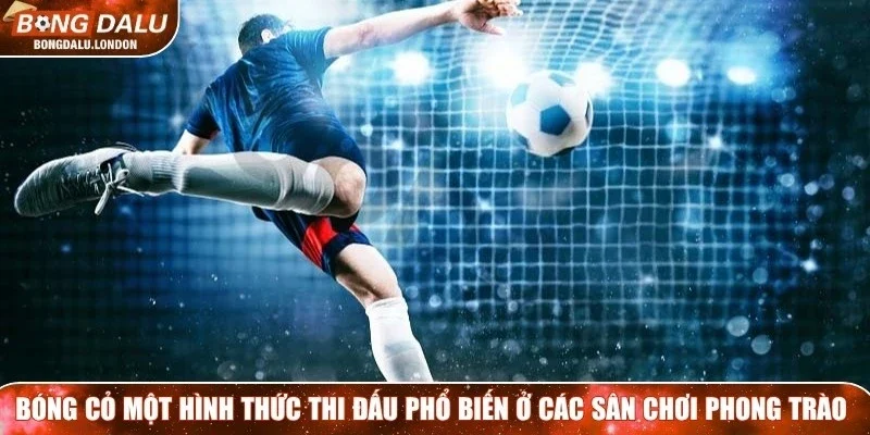 Bóng cỏ là một hình thức thi đấu phổ biến ở các sân chơi phong trào