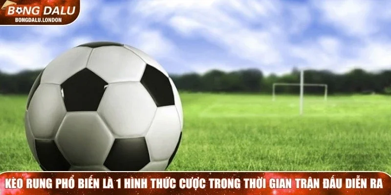 Kèo rung phổ biến là 1 hình thức cược trong thời gian trận đấu đang diễn ra
