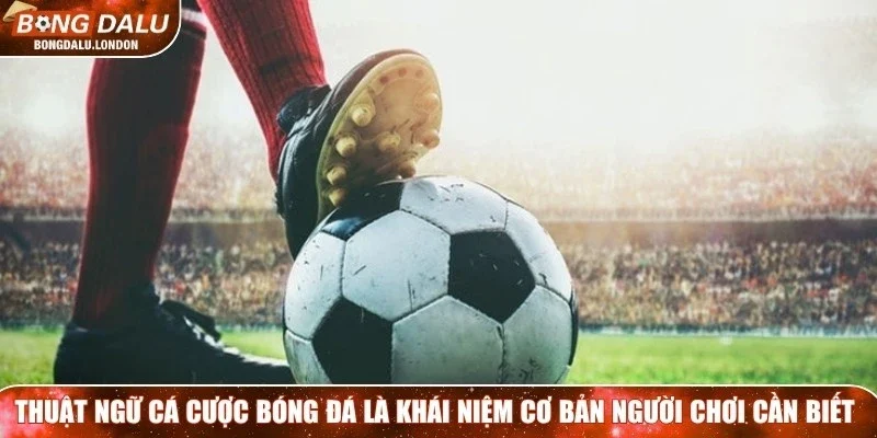 Thuật ngữ cá cược bóng đá là khái niệm cơ bản mà người chơi cần biết