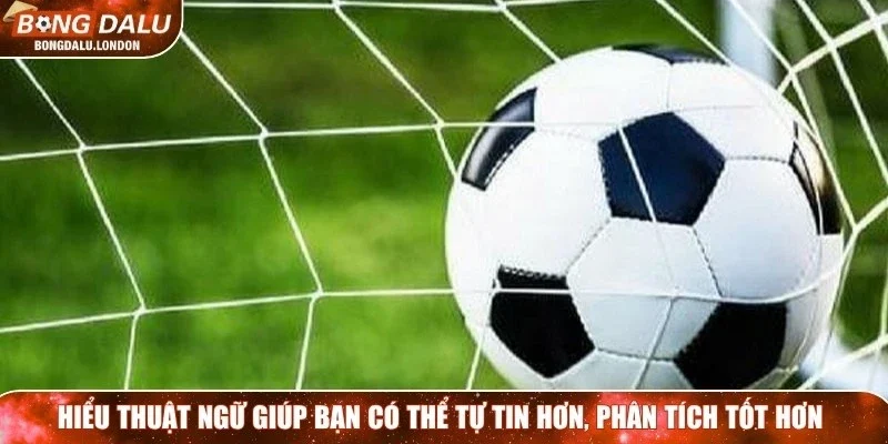 Hiểu thuật ngữ giúp bạn có thể tự tin hơn, phân tích tốt hơn 